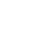 Engine Type
